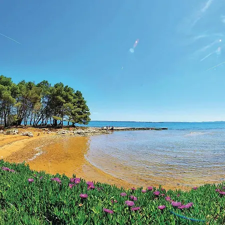 Casa vacanze Luxurious In With Sauna *